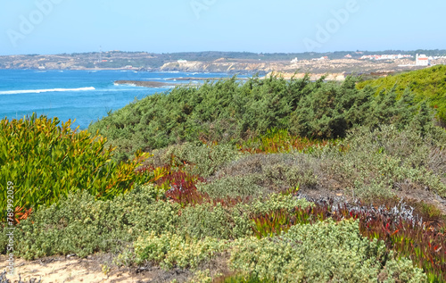 Hiking adventure fishermans trail named Rota Vicentina through the beautiful nature of Portugal photo