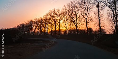 Sunset with tree silhouettes near Plattling, Isar, Deggendorf, Bavaria, Germany