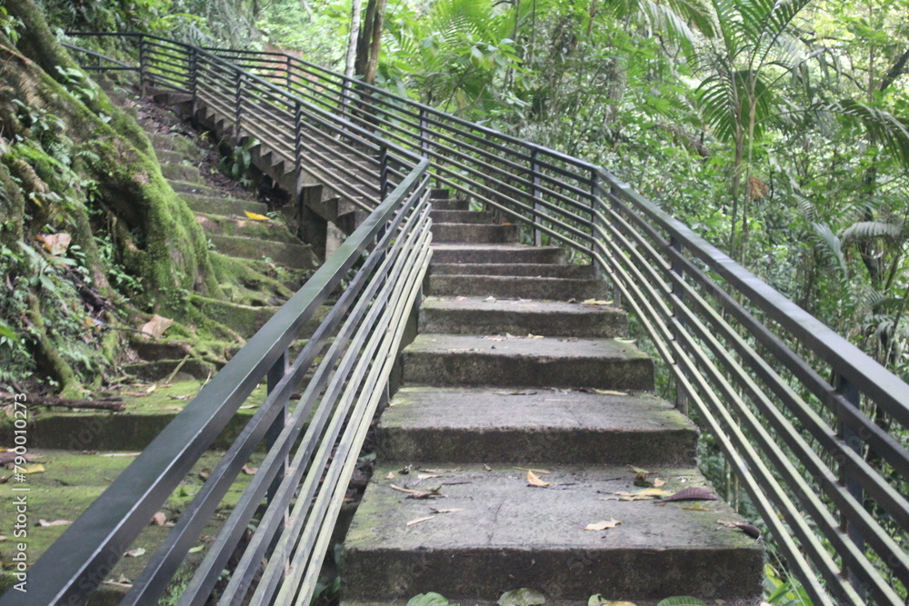 Kediri, Indonesia, 04 April 2024: Close-up view of cement or concrete stairs in the middle of a dense forest overgrown with plants, grass and trees. Kediri, Indonesia, 04 April 2024: Close-up view of cement or concrete stairs in the middle of a dense forest overgrown with plants, grass and trees.