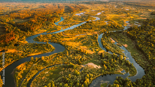 Aerial View Green Forest Woods And River Landscape In Sunny Spring Evening. Top View Of Beautiful European Nature From High Attitude In Summer Season. Drone View. Bird's Eye View.