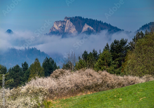 Trzy Korony - Pieniny, wiosna widok z Małych Pienin © Ola i Eryk
