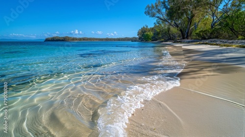 Sandy Beach With Clear Blue Water and Palm Trees