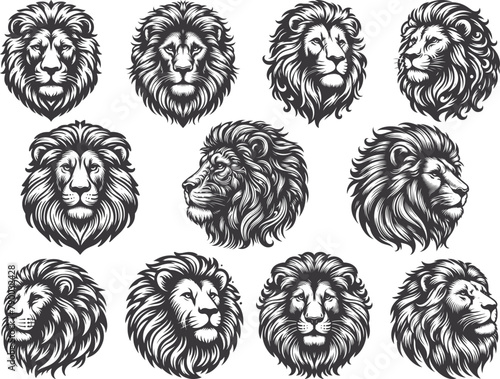 Vector set of lion logos, face for logos, emblems, badges, and labels. Isolated on a white transparent background