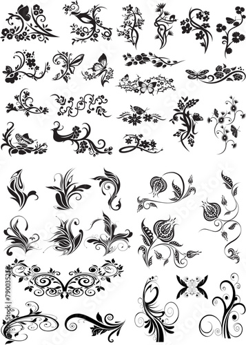 vector decorative ornament, 