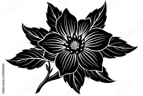 Delphinium vector silhouette 