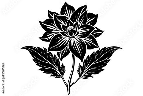 Delphinium vector silhouette 