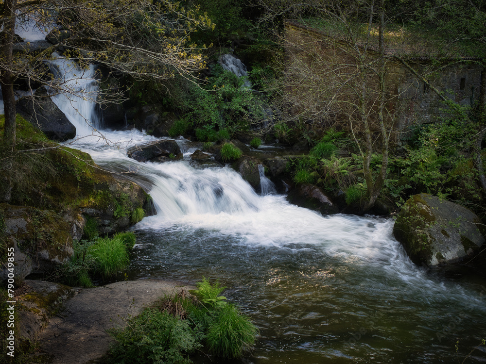 Fototapeta premium river with old house in the middle of trees
