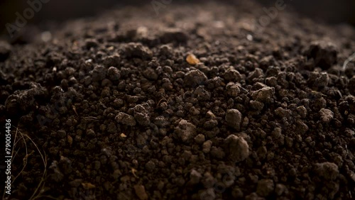 Fertilizer from vermicompost. Organic fertilizer.