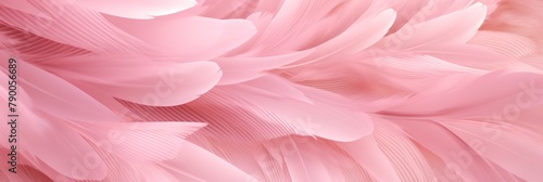 pink curve abstract glamorous luxury background © Eyepain