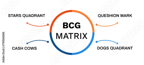 Bcg matrix diagram. Development and product development with management marketing and market diversification growth process vector model