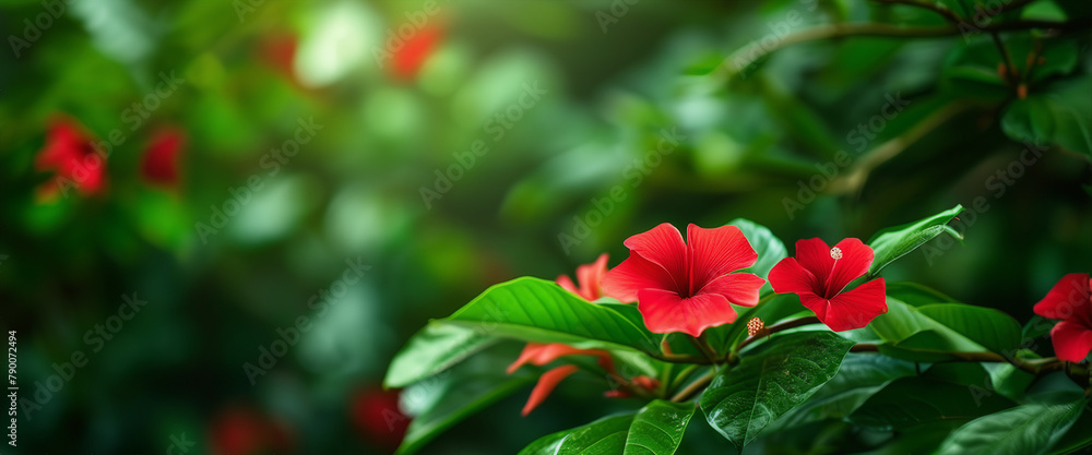 Obraz premium Green background with green leaves and red flowers.