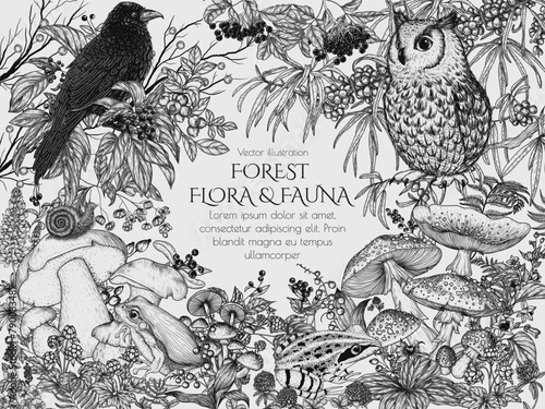 Vector frame of forest flora and fauna. Mushrooms, birds, snail, flowers, berries in engraving style