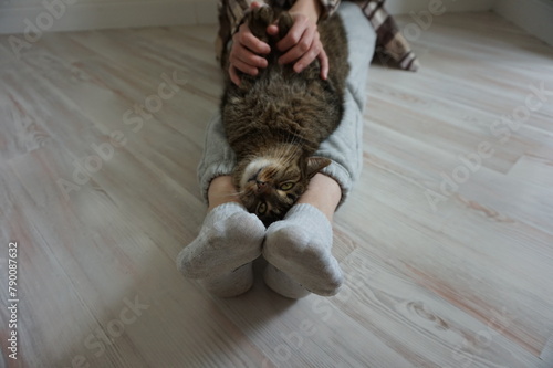 Happy cat lying on his owner's feet