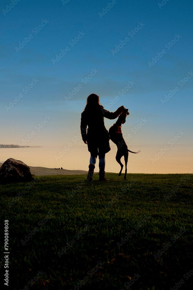 a girl plays with her weimaraner dog who jumps beside her outside on the grass, silhouetted against the scorching sky