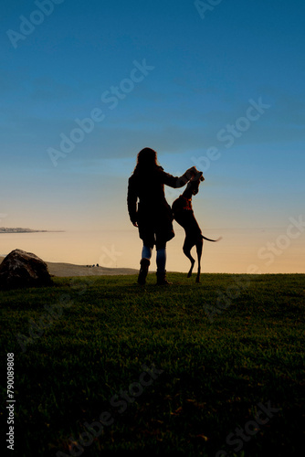 a girl plays with her weimaraner dog who jumps beside her outside on the grass  silhouetted against the scorching sky