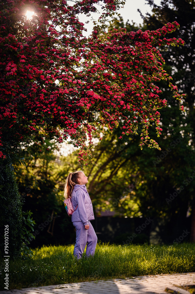 Captivated by the beauty of spring, a child gazes up at a canopy of bright pink blossoms, illuminated by the warm glow of the evening sun Captivated by the beauty of spring, a child gazes up at a canopy of bright pink blossoms, illuminated by the warm glow of the evening sun