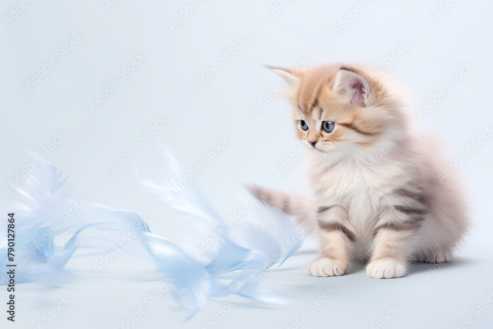 Cute little kitten playing with feathers Cute little kitten playing with feathers