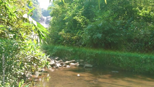 Bopath Falls seen through the forest (Bopath Falls) photo