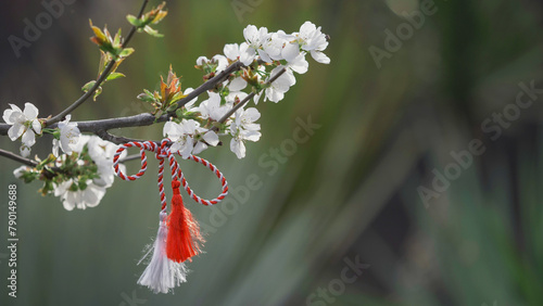 Traditional Romanian Martisor in a blossom tree