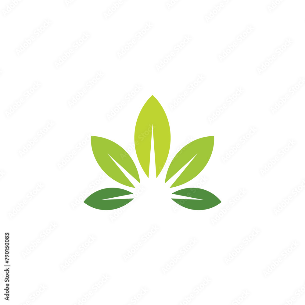 using the concept of cannabis leaf using the concept of cannabis leaf