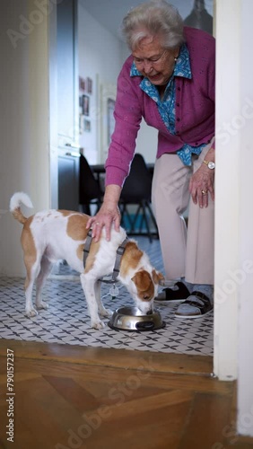 Elderly woman feeding her dog, putting bowl with dog food on floor. Dog as companion for senior people.