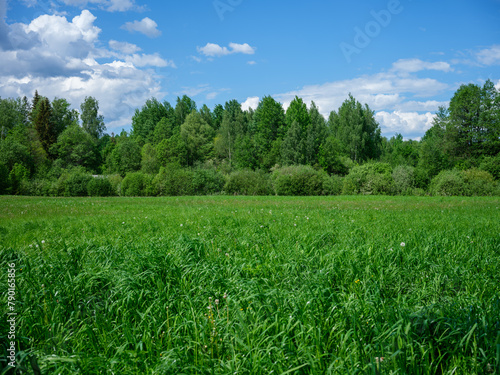 Fototapeta Naklejka Na Ścianę i Meble -  countryside fields in summer with blue sky over green fields