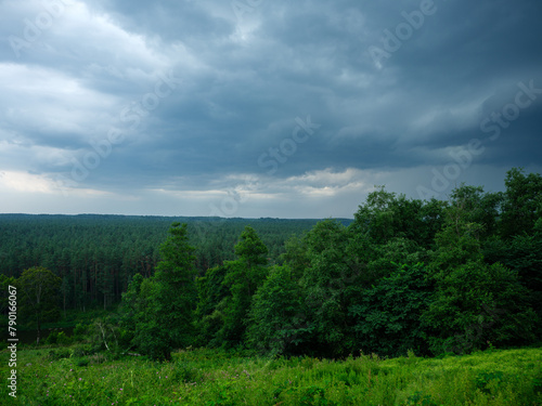 countryside fields in summer with blue sky over green fields © Martins Vanags