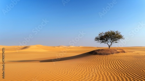 a flat sand desert