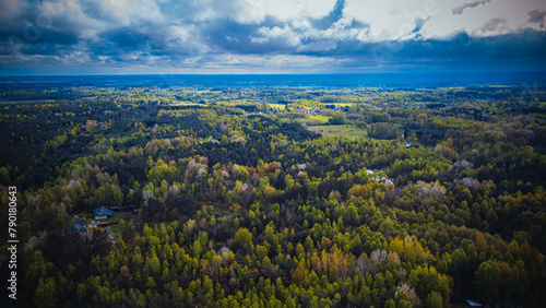 fresh spring forest, view from the drone 