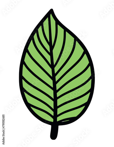Hand drawing tropical leaves flamingo floral flower leaf leaves vector illustration