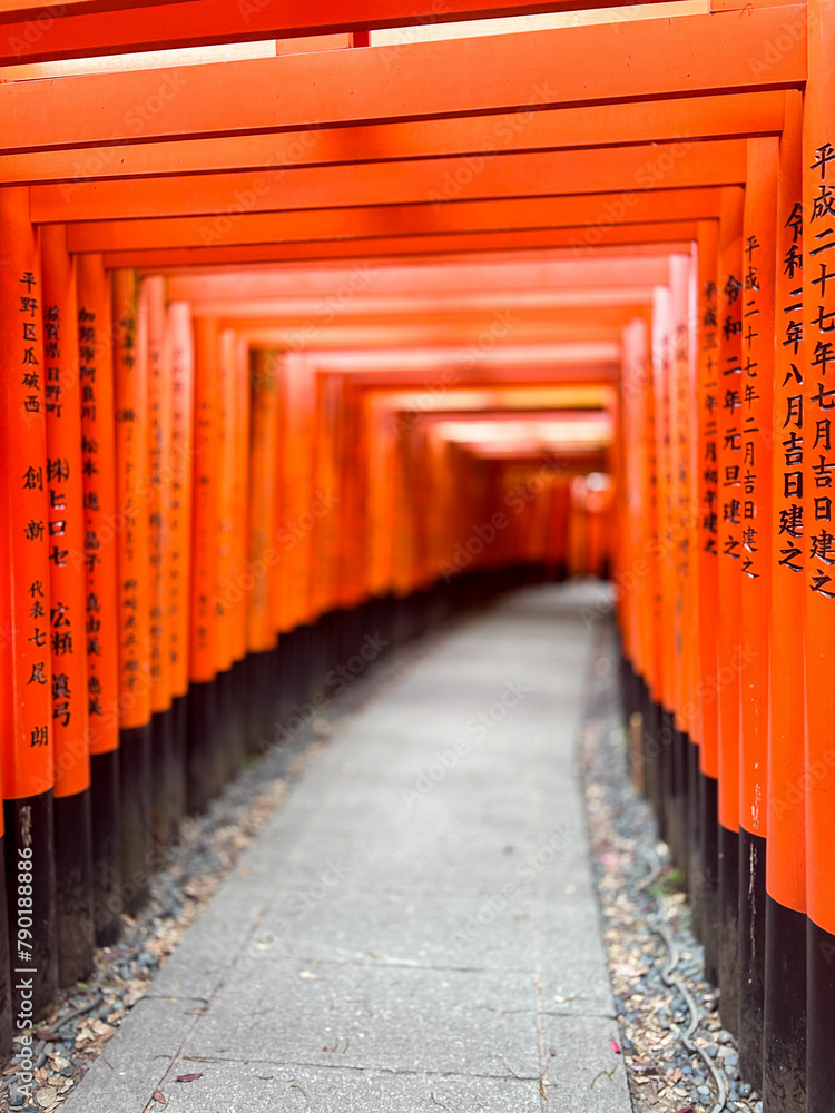 fushimi inari fushimi inari