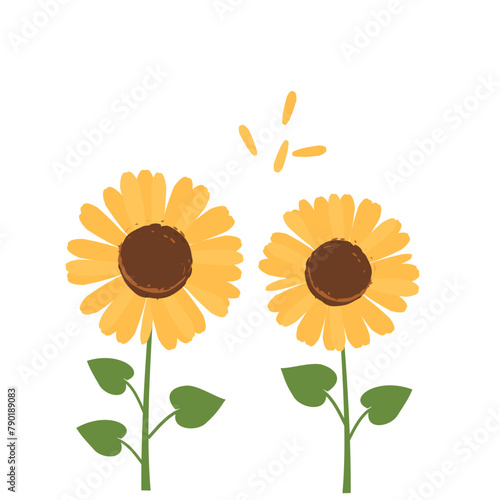 Sunflower with green leaves and flying petals isolated on white background vector. © Thanawat