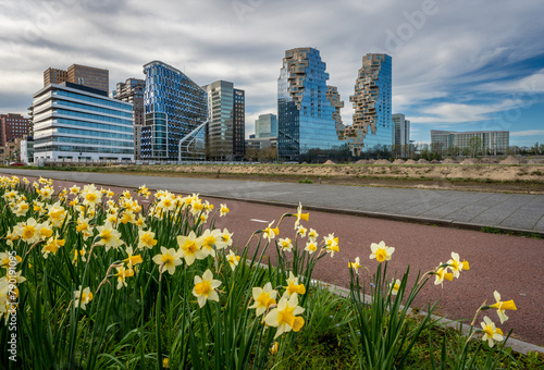 Skyline of Amsterdam Zuidas in the springtime