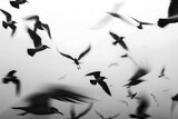 Ethereal Flight: Birds Blurred in Motion