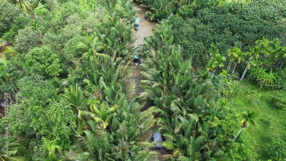 A river winding through a dense forest with various plant species Mekong Delta River Vietnam A river winding through a dense forest with various plant species Mekong Delta River Vietnam