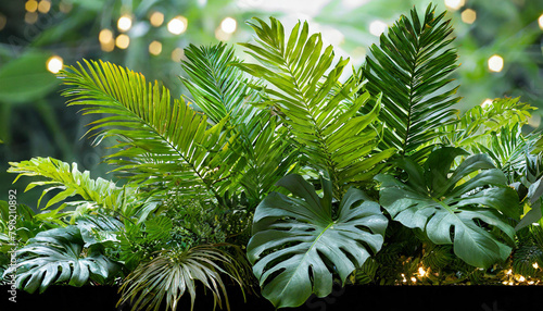 Green leaves of tropical plants bush  Monstera  palm  fern  rubber plant  pine  birds nest fern  floral arrangement