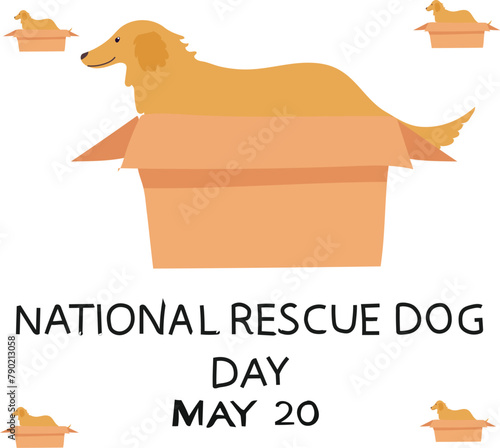 national rescue dog day is celebrated every year on 20 may.
