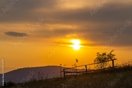 The remains of an old overgrown wooden fence in the country that protected the crops from wild animals.