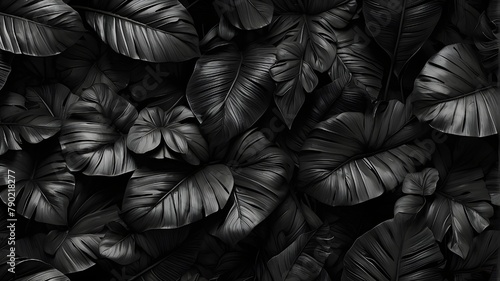 A photorealistic image showcasing textures of abstract black leaves arranged in a tropical leaf background. The composition features a flat lay perspective  highlighting the intricate details and patt