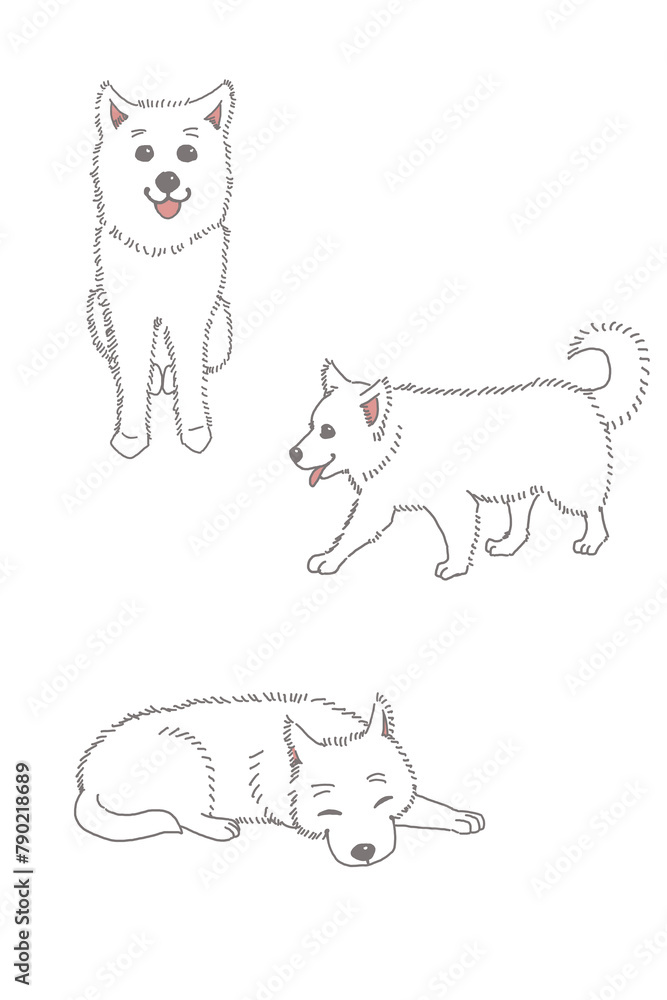 寝ている犬、歩いている犬、座っている犬、white dog sleeping dog,Walking dog,sitting dog 寝ている犬、歩いている犬、座っている犬、white dog sleeping dog,Walking dog,sitting dog