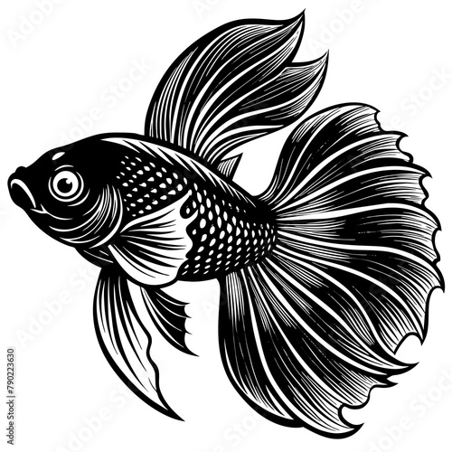 fish silhouette