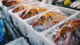 Fresh fish stored in a styrofoam container Chilled fish at a retail outlet Fresh seafood at a marketplace Fresh fish section at a supermarket