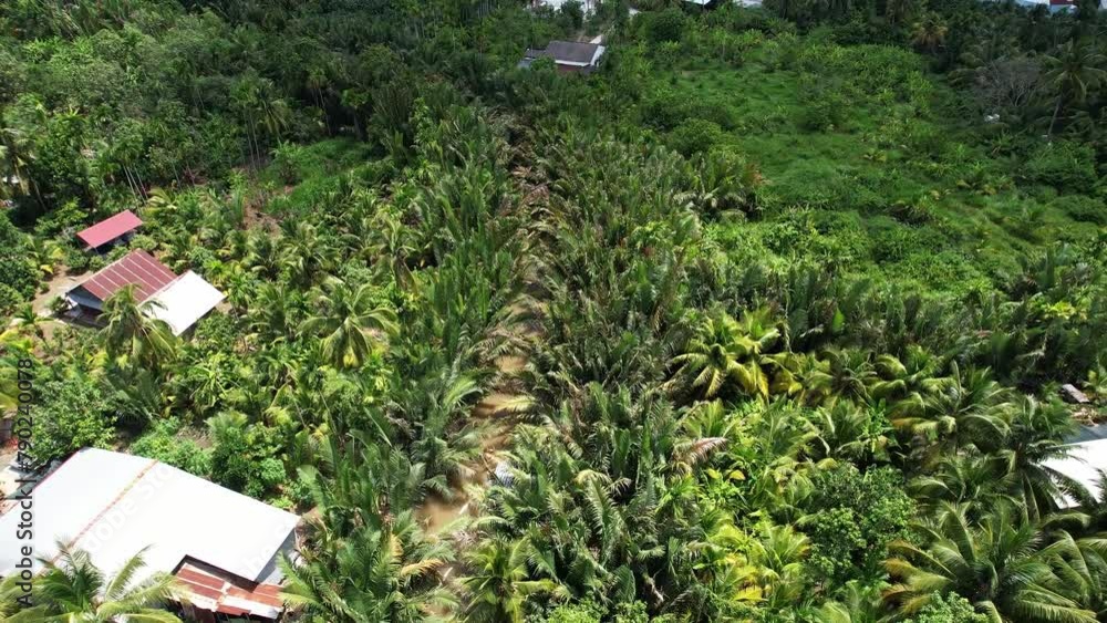 A mesmerizing aerial view of a lush green forest with palm trees and houses in the background, showcasing the beauty of nature and residential areas blending harmoniously A mesmerizing aerial view of a lush green forest with palm trees and houses in the background, showcasing the beauty of nature and residential areas blending harmoniously