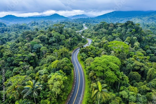 Winding road cutting through the heart of a lush tropical rainforest, embodying the concept of travel and exploration - Concept of adventure and eco-tourism