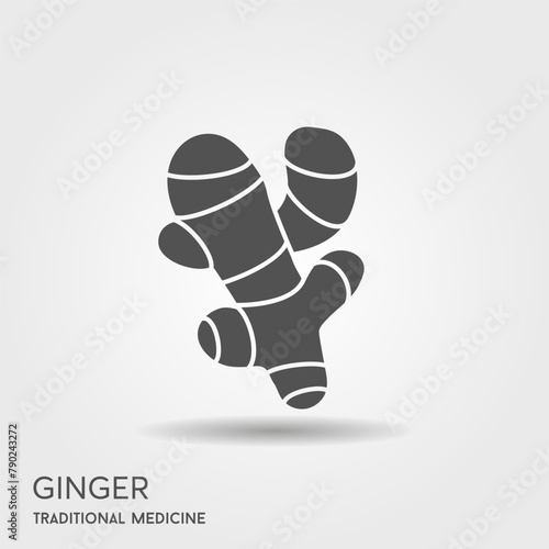 Cute ginger root plant isolated on white background. Spicy herb pictogram.