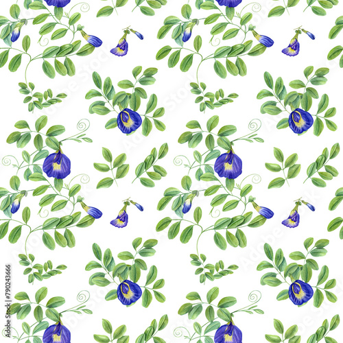 Blue flowers and green leaves. Climbing clitoria ternatea in full bloom. Seamless pattern of ending branches of Asian plant. Butterfly pea flower. Watercolor illustration isolated on white background. photo