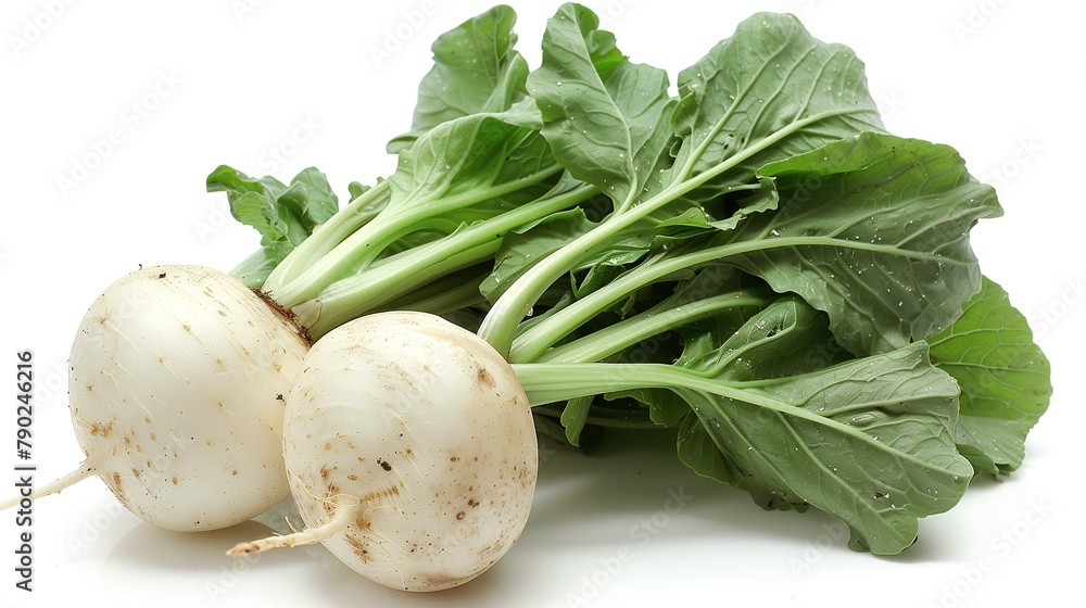 A close-up of fresh and vibrant radishes with their lush green leaves A close-up of fresh and vibrant radishes with their lush green leaves