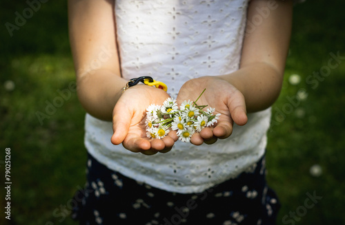 Portrait of a girl holding daisies in her palms on a summer day.