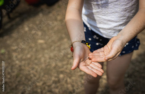 Hands of a girl with a crawling ladybug in her arms in the park.