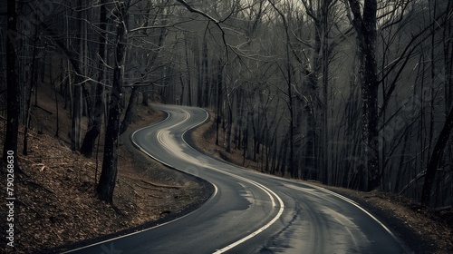 A winding road disappearing into the distance, bordered by barren trees, capturing the essence of solitude